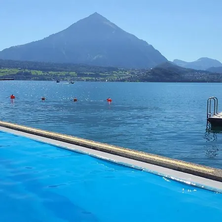 Chalet Thun Alps Scenic Views And Concierge By Swisshut