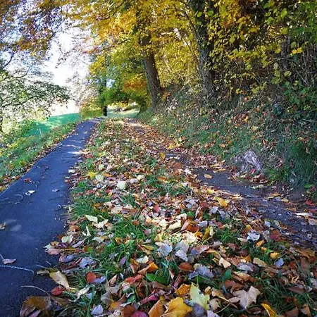 Thun Alps Scenic Views And Concierge By Swisshut Chalet *