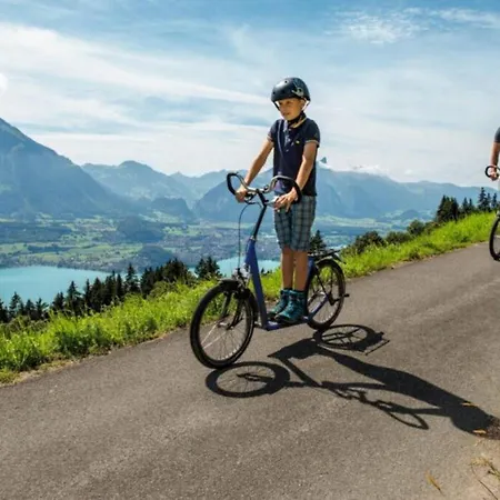 Thun Alps Scenic Views And Concierge By Swisshut *