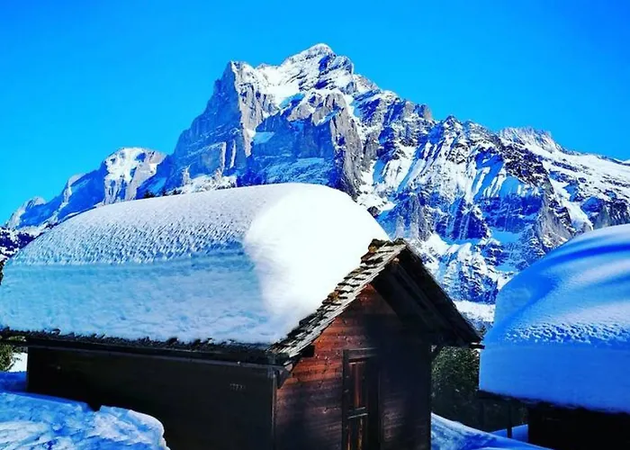 Thun Alps Scenic Views And Concierge By Swisshut Chalé