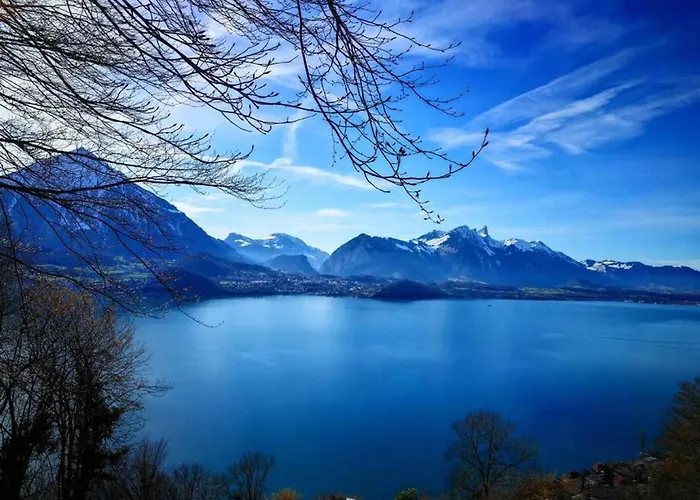 Thun Alps Scenic Views And Concierge By Swisshut Chalé