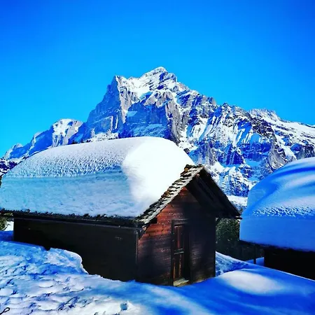 Thun Alps Scenic Views And Concierge By Swisshut Chalet