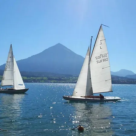 Chalet Lake Thun Alps Scenic Views And Concierge By Swisshut Sigriswil