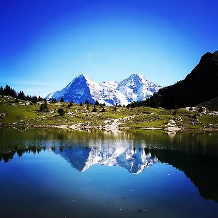 Swisshut Stunning Views Alps - Lena *