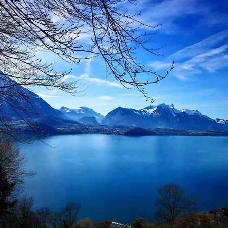 Lake Thun Alps Scenic Views And Concierge By Swisshut Chalet