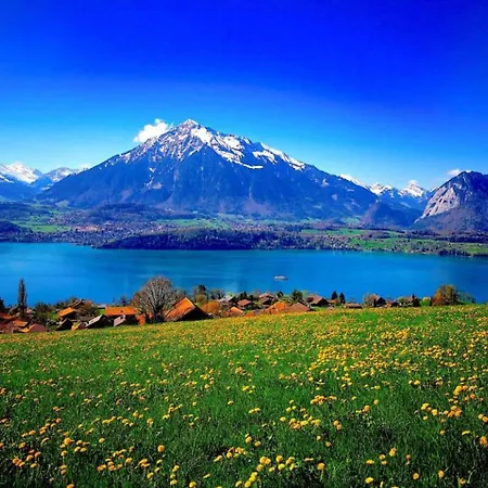 Chalet Thun Alps Scenic Views And Concierge By Swisshut Sigriswil