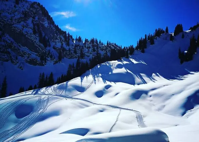 Thun Alps Scenic Views And Concierge By Swisshut