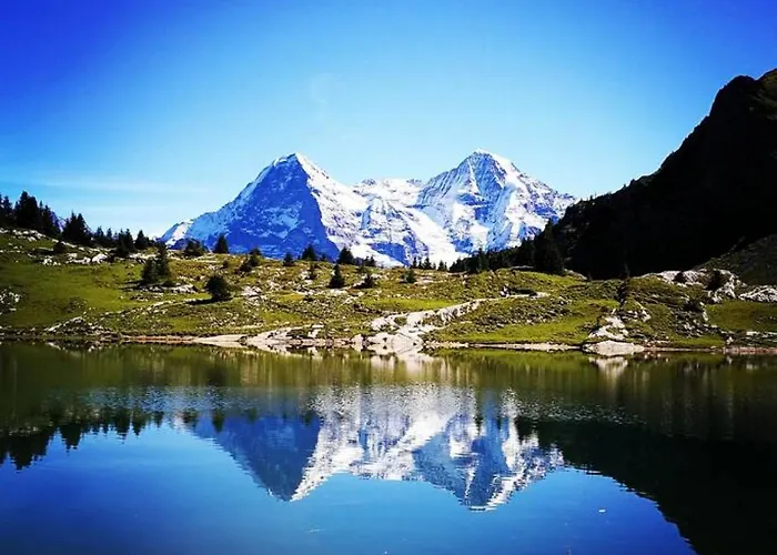 Thun Alps Scenic Views And Concierge By Swisshut *